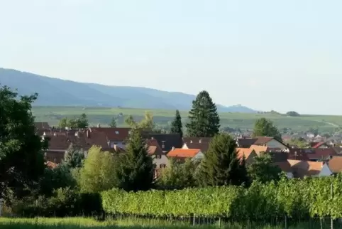 Der Arzheimer Ortsbeirat hat sich zu seiner ersten Sitzung getroffen.  Foto: Iversen