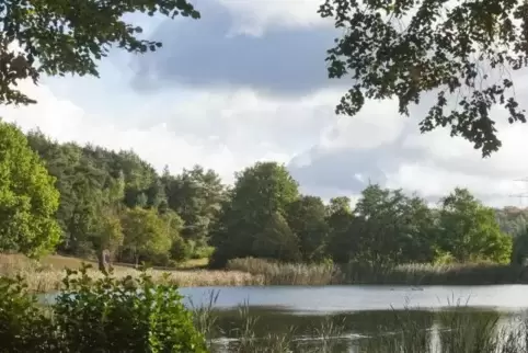 Beliebtes Ausflugsziel: Das Naherholungsgebiet Seewoog im Stadtteil Miesenbach wird neu gestaltet. Dafür fließen jetzt noch einm