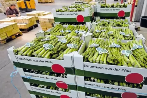 Neben dem klassischen weißen Spargel bietet der Pfalzmarkt auch die grüne Variante an.