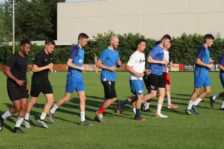 Trainingslauf: Der FC Speyer 09 bereitet sich im Sportpark vor Foto: Lenz