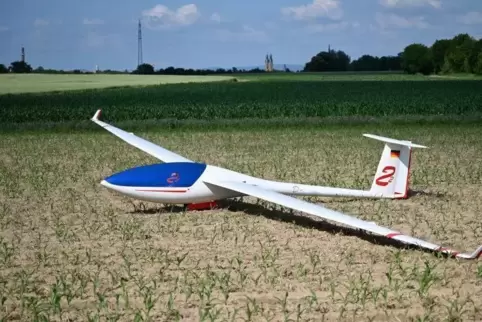 Zwischen Berghausen und Dudenhofen in der Nähe der B9: Einsam und verlassen liegt das Segelflugzeug in einem Maisfeld. Foto: Len