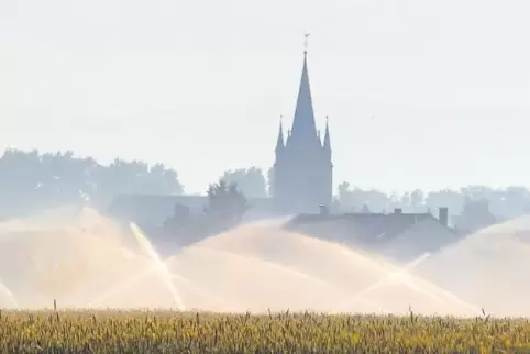Der Beregnungverband Vorderpfalz soll sein Gebiet vergrößeren.