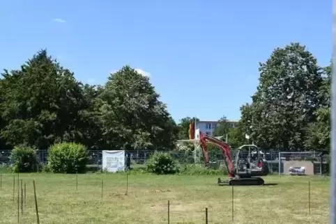 Die Bagger sind da: Auf der Wachenheimer Schwimmbadwiese haben die Arbeiten begonnen.  Foto: Franck