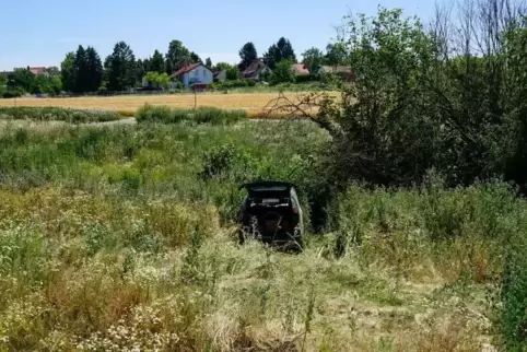 Das Unfallauto kam im Gestrüpp zum Stehen. Foto: BRAND 