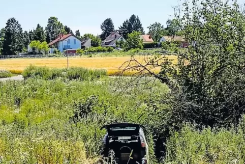 Das Unfallauto blieb auf einer Wiese neben der B 271 liegen.