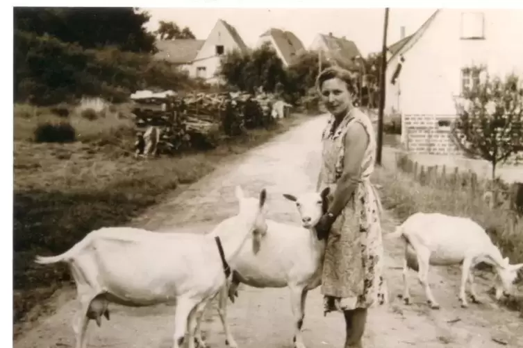 Ziegen waren in den 50er Jahren wichtig .  Foto: DIETRICH