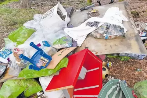 Beträchtliche Müllberge im Wald wie diesen hier beklagt das Forstamt Bad Dürkheim.