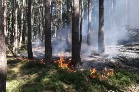 Es gilt weiterhin die erhöhte Waldbrandgefahr.  Symbolfoto: Feuerwehr 