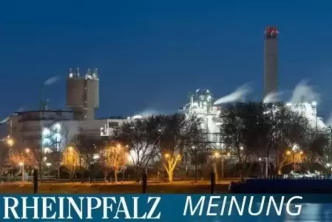 basf_meinung_nacht.jpg