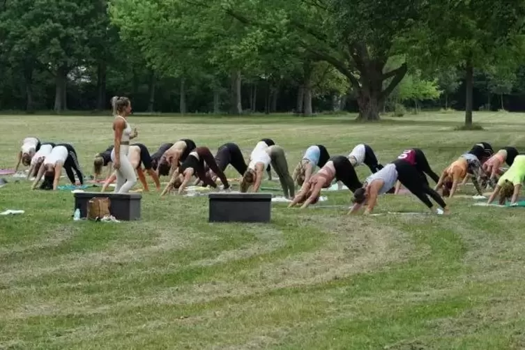 Wer kann es: Kursteilnehmer beim Yoga auf der Domwiese.  Foto: Nino Marz/frei