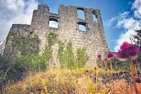 Ein Ort mit Geschichte und wunderbaren Aussichten: die Burgruine in Falkenstein.