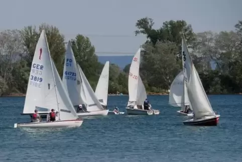 Die Segler auf dem Silbersee hatten am Wochenende endlich mal guten Wind. Foto: Linz/frei