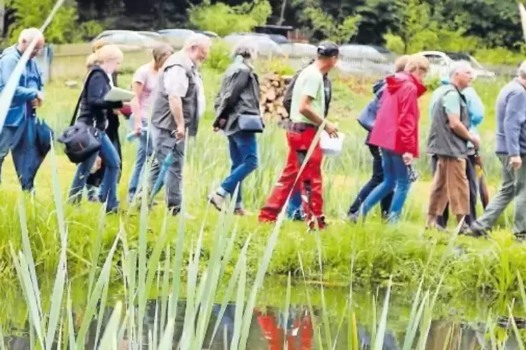 Ein Idyll: Die Fischzucht am Eiswoog ist Ziel einer RHEINPFALZ-Sommertour.