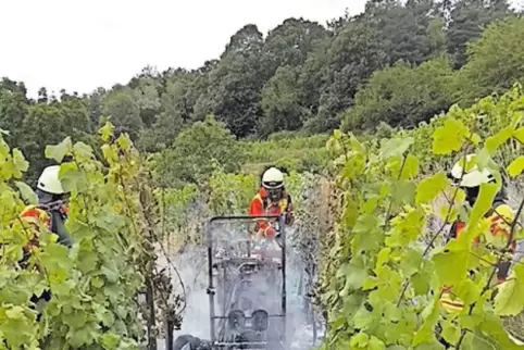 Einsatz der Feuerwehr im Wingert nahe der Wachenheimer Wachtenburg.