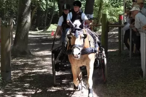 Das war das Training für die Meisterschaften: Astrid von Rauchhaupt und Nico Demos beim Turnier in Lauterecken vor zwei Wochen. 