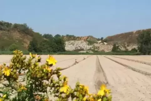So idyllisch wie es aussieht, ist es nicht: Die ehemalige Mülldeponie im Hintergrund ist Streitthema zwischen Kreis und Land.  F