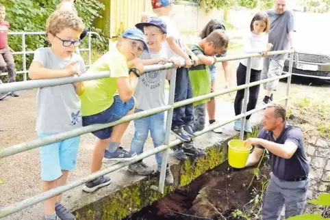 Mit dem Wasserlauf ging die Ferienfreizeit in Horbach zu Ende. Christof Spang vom DRK Holzland (unten) war gefordert, den Jungs 