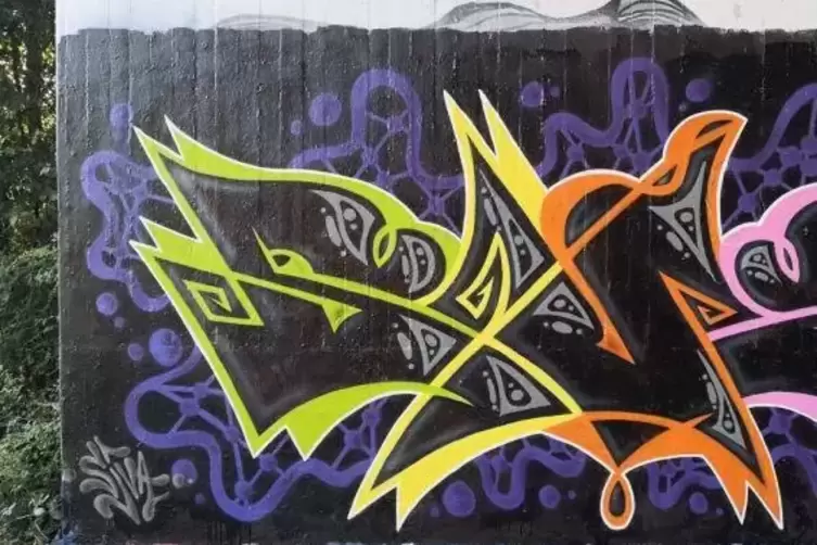 Politisch korrekt: Ein Beispiel f&uuml;r Graffiti-Kunst. Archivfoto: Raab
