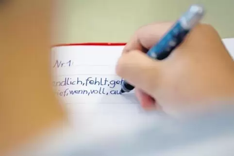 In der Grundschule soll der Grundstock für selbstständiges Lernen und eine positive Arbeitshaltung gelegt werden, sagt das rhein