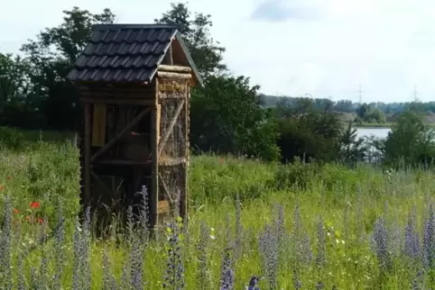 Turmhotel mit Vollpension: Auf einer Magerwiese am Silbersee werden Wildbienen verwöhnt.  Foto: Susanne Mayrhofer/Frei
