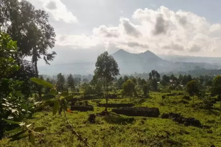 Die Virunga-Vulkane liegen im Grenzgebiet zwischen Ruanda, Uganda und der Demokratischen Republik Kongo. Sie sind eines der zwei