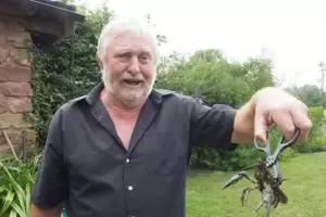 Soll besser schmecken als Krabbenfleisch: Burkhard Zahn mit einem der amerikanischen Signalkrebse, die von den Fischern bei ihre
