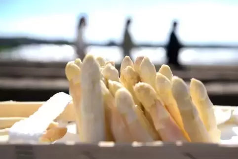 Frisch sehr begehrt: Weißer Spargel. Foto: Arne Dedert/dpa