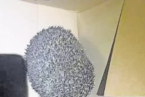 In einer Kiste brachte die Polizei den Igel zum Tierarzt.