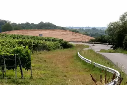 Auf der Baustelle bei Dörrenbach tut sich derzeit recht wenig, Foto: Iversen
