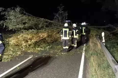 Feuerwehreinsatz zwischen Böbingen und Gommersheim. Foto: Wehr