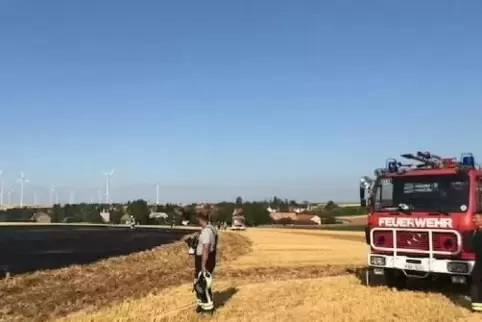 Rund 1,5 Hektar Acker brannten am Mittwoch zwischen Göllheim und Biedesheim. Foto: StollhS