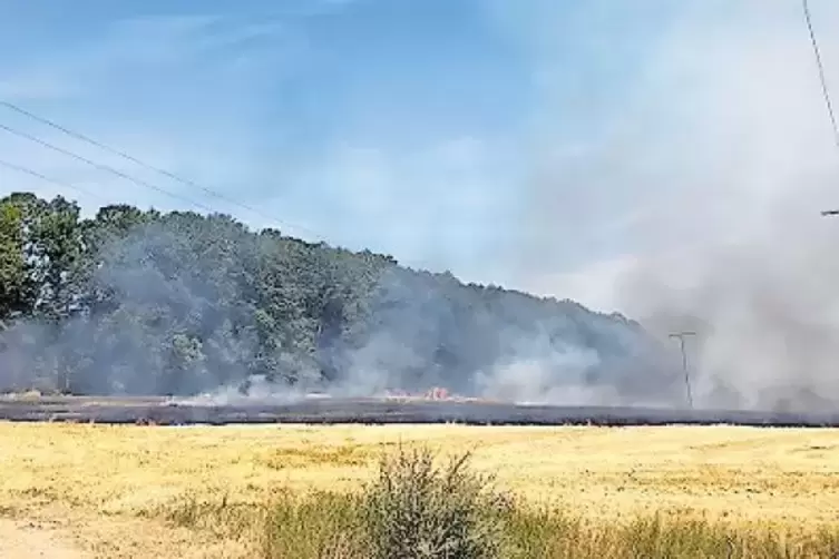 Auch gestern brannten wieder Felder.