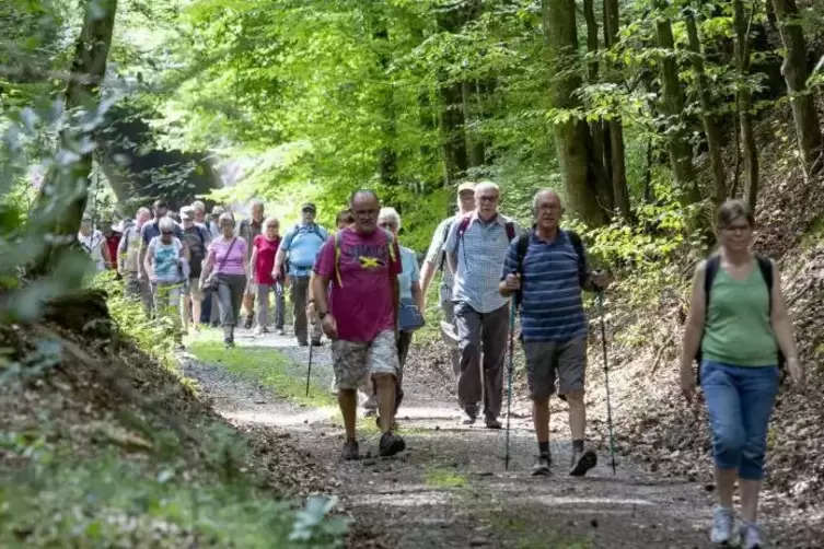 Die Karawane zieht weiter: Fast 80 Leser machten sich bei der Sommertour mit der RHEINPFALZ auf den Weg durch den Pfälzerwald.  