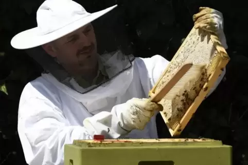 Spediteur Nedo Drvar am Bienenstock. Er sei süchtig nach diesem Hobby, sagt er. Foto: BOLTE