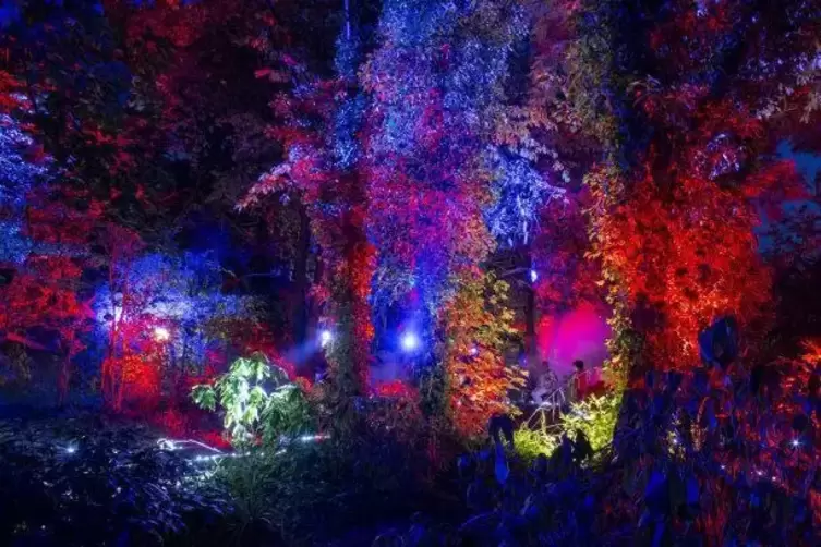 Sch&ouml;n illuminiert: Blick in den Rhododendrongarten. Foto: VIEW