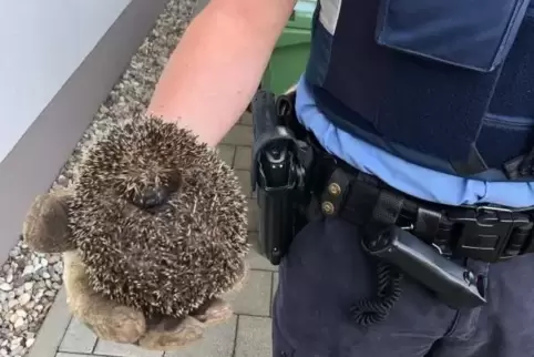 Polizisten rückten mit einem Bolzenschneider an, um das kleine Kerlchen zu befreien.  Foto: polizei