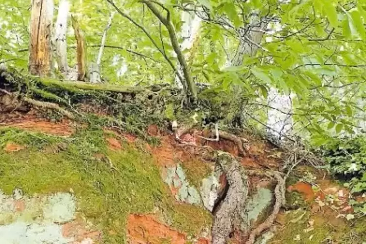Typisch f&uuml;r die Gegend: der Buntsandstein.