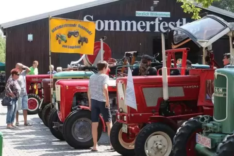Vor der Sommerfesthalle in Waldsee: Nebeneinander aufgereiht stehen die Oldtimer-Traktoren.  Foto: Lenz