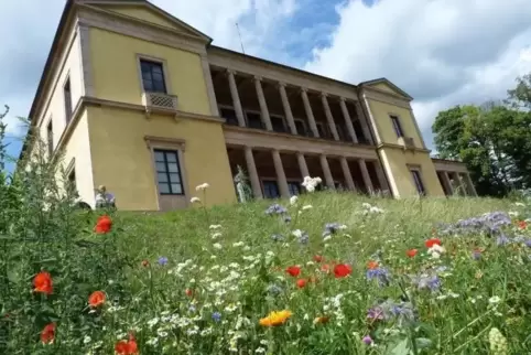 Auch vor Schloss Villa Ludwigshöhe blüht es.  Foto: hoerlej