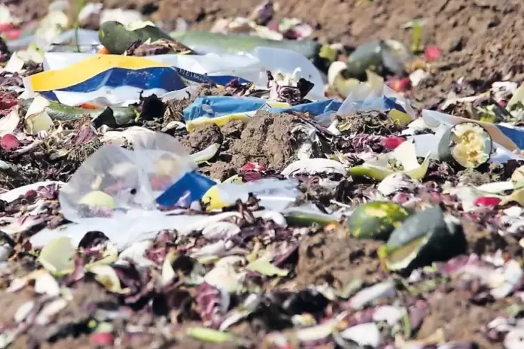 Zucchini und andere Gem&uuml;seabf&auml;lle zusammen mit Plastikverpackungen auf einem Feld im mittleren Rhein-Pfalz-Kreis.
