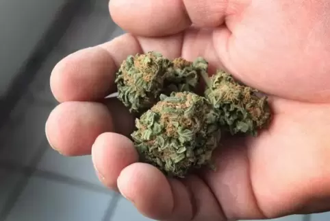 Cannabis – hier ein Symbolbild – wurde bei zwei Jugendlichen in Wachenheim gefunden.  Archivfoto: dpa
