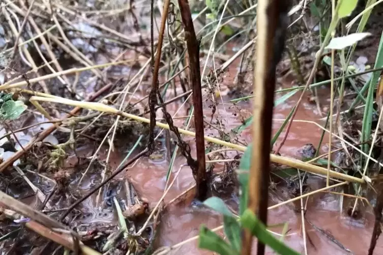 Auf den &Auml;ckern sammelte sich zum Teil das Wasser.  Foto: Stollhof