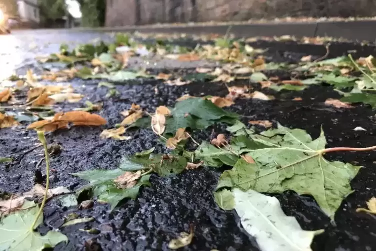 Durch den Sturm waren viele Stra&szlig;en und Gehwege voll mit Laub.  Foto: Stollhof