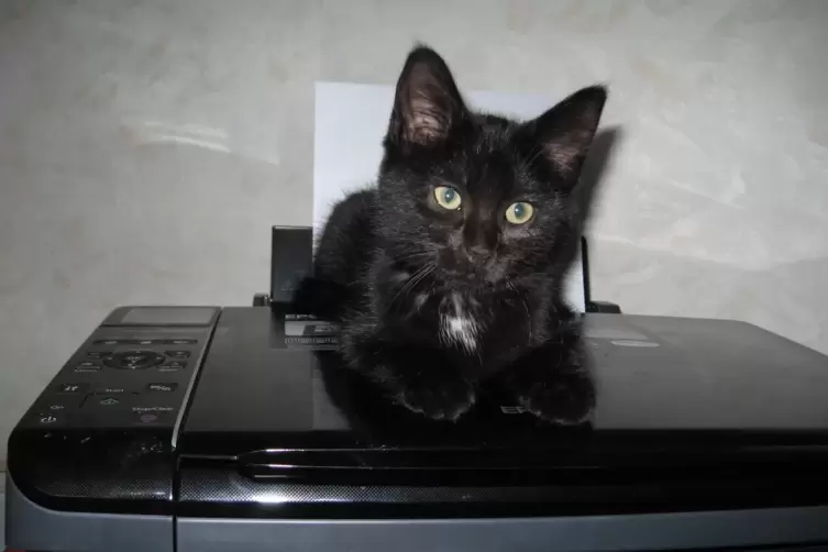 lilly14.JPG