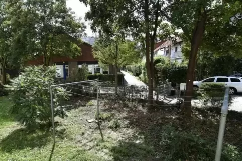 Wo vorher üppiges Grün den Balkon der Mieterin abschirmte, gibt’s jetzt freie Sicht auf Fußweg und Kindergarten. Sie fühle sich 