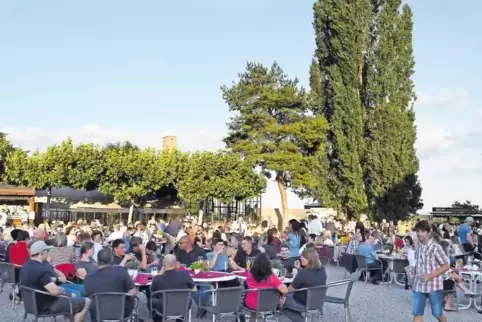 Sommeratmosphäre im Englischen Garten des Weinguts Dr. Bürklin-Wolf.