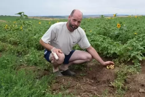 Hanno Niederauer aus Stetten überprüft Größe und Beschaffenheit seiner Kartoffeln, die ab Anfang September gerodet werden sollen