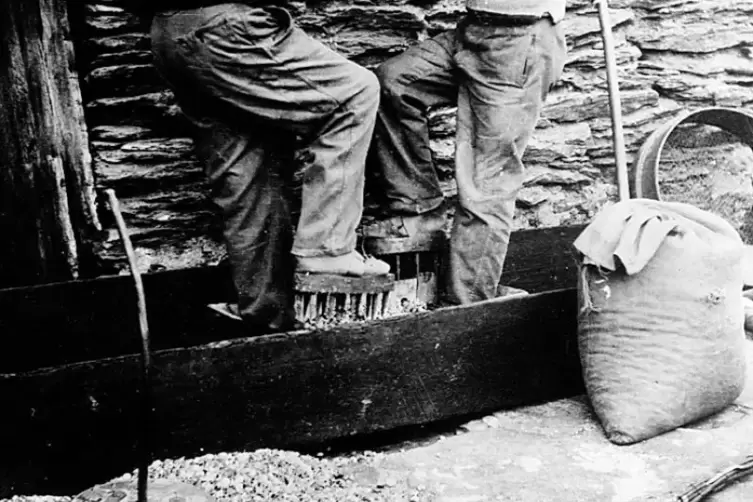 Eine historische Aufnahme aus der Ard&egrave;che-Region in S&uuml;dfrankreich: Mit dem Kastanienschuh wurden die geh&auml;uteten Kastanien zerkle