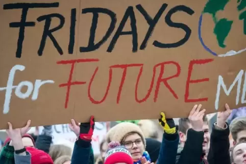 Die für das Klima streikenden Schüler können sich beim neuen Klimakonzept des Landes einbringen, sofern sie 16 Jahre alt sind.  