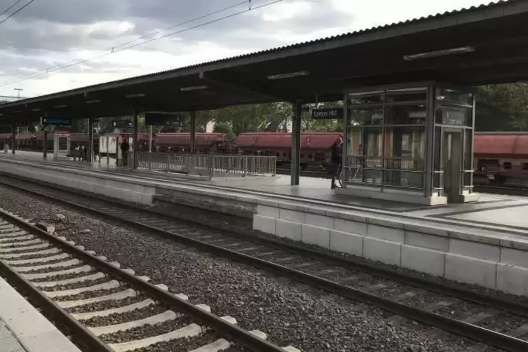 Defekt: Dach über Gleis 2 und 3 des Speyerer Bahnhofs. Foto: pse